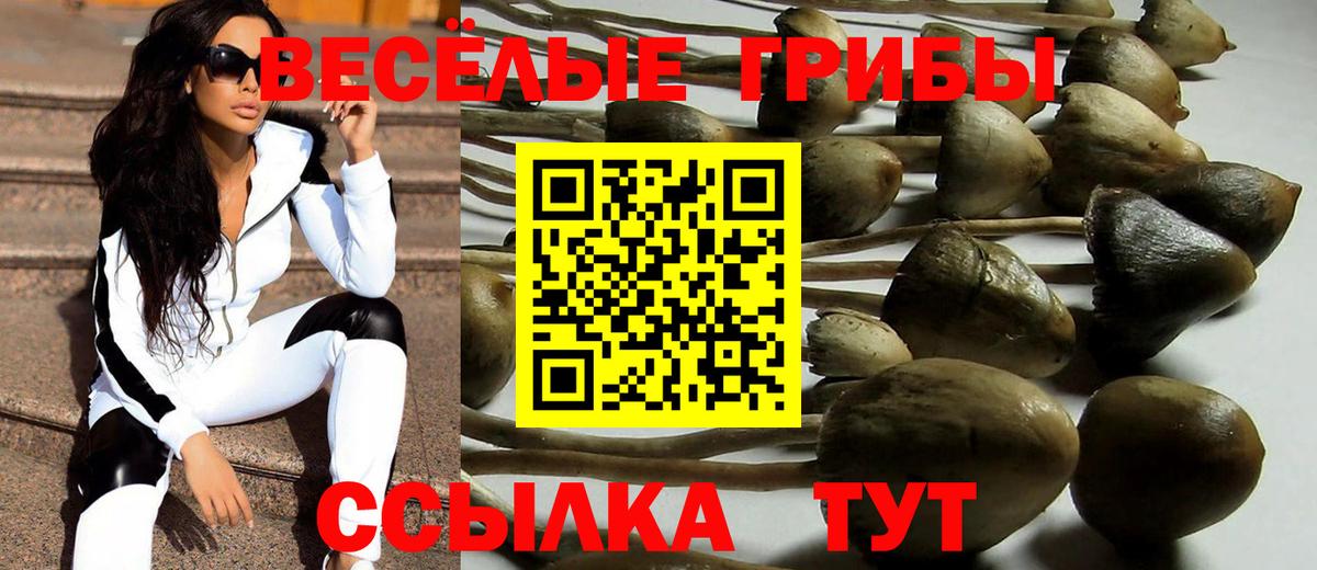 Псилоцибиновые грибы ЛСД  Вход с VPN  Вятские Поляны 