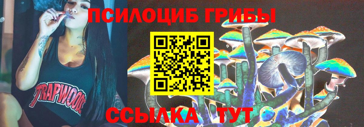 Псилоцибиновые грибы MAGIC MUSHROOMS Вятские Поляны