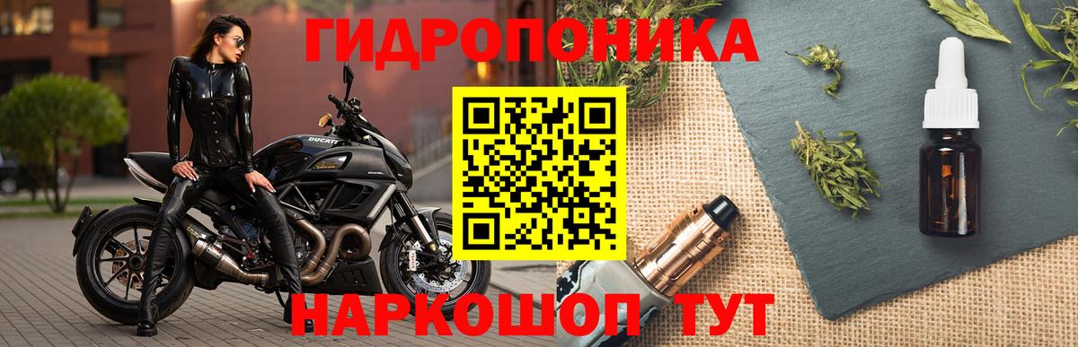 Каннабис ГИДРОПОН  Канабис OG Kush  Марихуана MAZAR  Вятские Поляны  Вход с VPN  Бошки марихуана план 